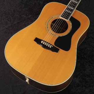 guild d-55の検索結果【楽器検索デジマート】