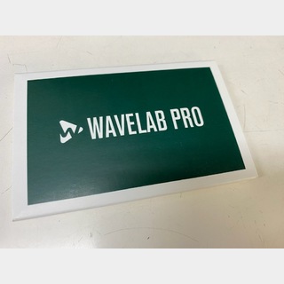 SteinbergWavelab Pro/R