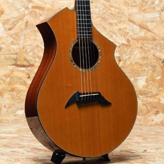 アコースティックギター／エレクトリック・アコースティックギター