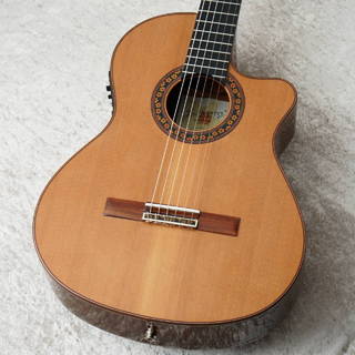 クラシック・ギターの検索結果【楽器検索デジマート】