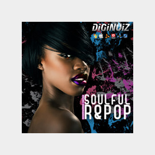 DIGINOIZ SOULFUL R&POP
