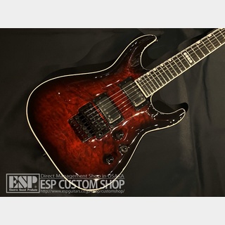 E-II HORIZON FR-II See Thru Black Cherry Sunburst