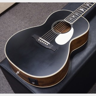 エレクトリック・アコースティックギター、LTD、TL-6の検索結果