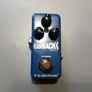 tc electronic Flashback Mini D