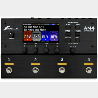 FRACTAL AUDIO SYSTEMS AM4