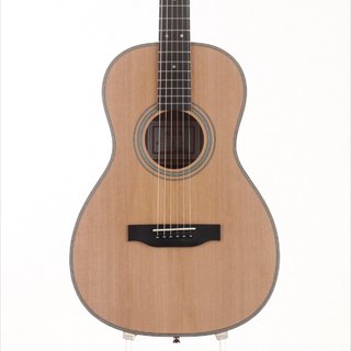 アコースティックギター／エレクトリック・アコースティックギター