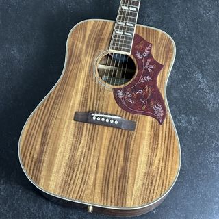 Epiphone Hummingbird Koa Special【現物画像】