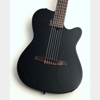 エレガットギターの検索結果【楽器検索デジマート】