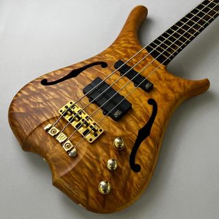 Warwick チュウコCS INFINITY