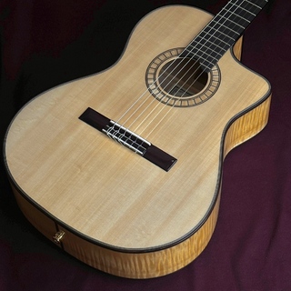 エレガットギターの検索結果【楽器検索デジマート】