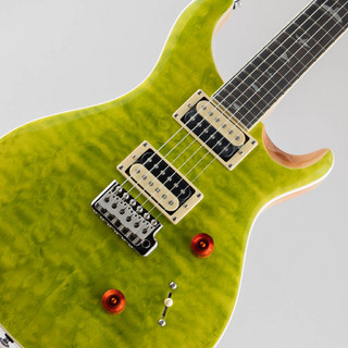 Paul Reed Smith(PRS) SE Custom 24 Quilt Package / Eriza Verde