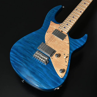 エレキギター、STR GUITARSの検索結果【楽器検索デジマート】
