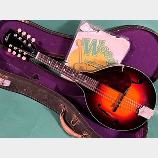 マンドリン ＞ その他の検索結果【楽器検索デジマート】