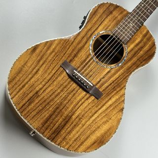 アコースティックギター／エレクトリック・アコースティックギター