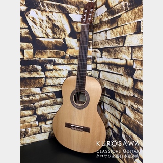 Orpheus Valley Guitars オルフェウス・ヴァレー・ギターズ F65S 松・ローズウッド 【日本総本店2F在庫品】