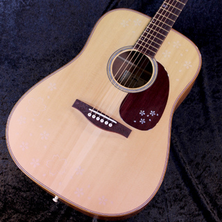 アコースティックギター、ホンジュラスローズウッド OR Hondurasの検索