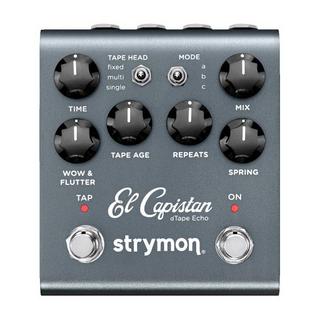 strymon El Capistan【即納可能】