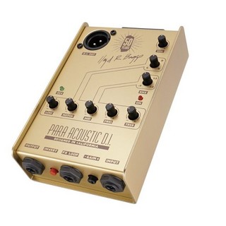 L.R.Baggs 即納可能【50周年記念モデル】Gold Para DI