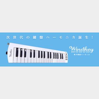 TAHORNG WK37　ピアニカ WINDKEY 電子鍵盤ハーモニカ