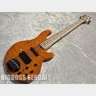 LaklandShoreline Series SL55-94 Amber Translucent / Maple FB【即納可能】