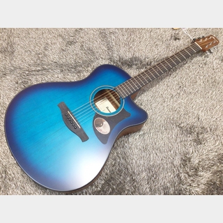アコースティックギター 青緑 グリーン ブルー シリアルナンバー入り