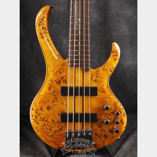 [中古]Ibanez　SRT800DX スルーネック 2010年頃のエレキベース 中古ベース 一覧 | 島村楽器オンラインストア