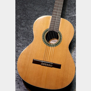 クラシック・ギター／フラメンコ・ギター【楽器検索デジマート】