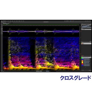 Steinberg 【Steinberg Pro Audio Sale 2024】SpectraLayers Pro 10 Comp CG (オンライン納品)(代引不可)