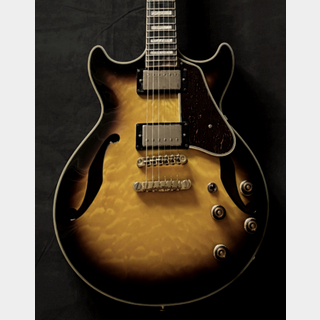 エレクトリックギター ＞ セミアコ、Ibanezの検索結果【楽器検索