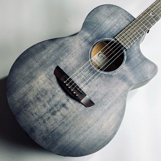 アコースティックギター／エレクトリック・アコースティックギター