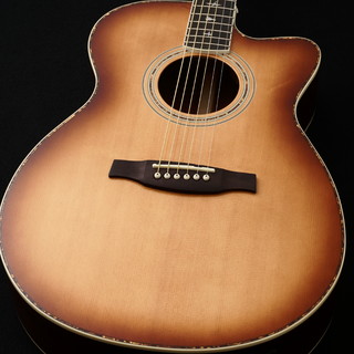 アコースティックギター／エレクトリック・アコースティックギター