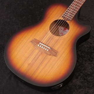 Cole Clark (オール単板) 311tV2cCeLL.jpg_BO30,255,255,