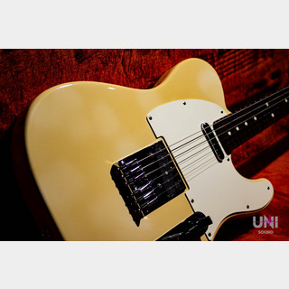 Fender Standard Telecaster / 1983