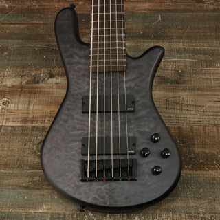 Spector NS Pulse II 6 Black Stain Matte【御茶ノ水本店】