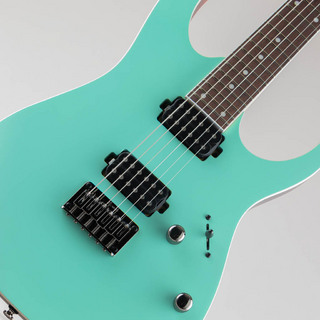 Ibanez RG421S/SEM