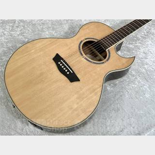 Washburn EA20S-NUNO BETTENCOURT