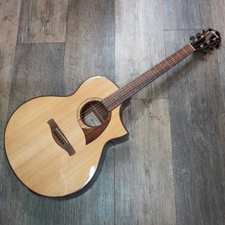 Ibanez AEW22CD