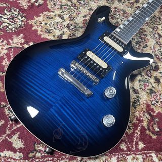 T's Guitarsの検索結果【楽器検索デジマート】