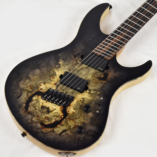 Acacia Guitars Romulus Arc Multiscale 6 Custom Shop