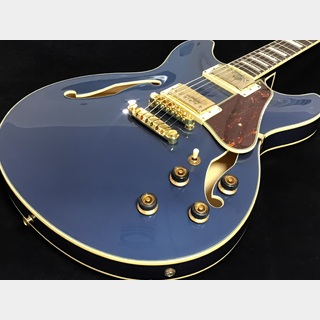 Ibaneze セミアコ　【超美品】 エレクトリックギター ＞ セミアコ、Ibanezの検索結果【楽器検索