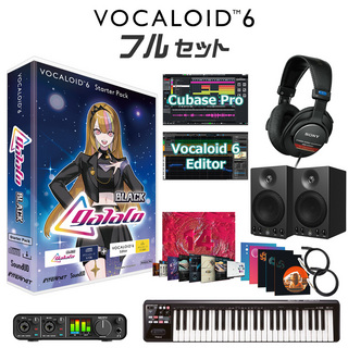 INTERNET VOCALOID6 galaco BLACK 初心者フルセット ギャラ子 スターターパック CV.柴咲コウ ボーカロイド