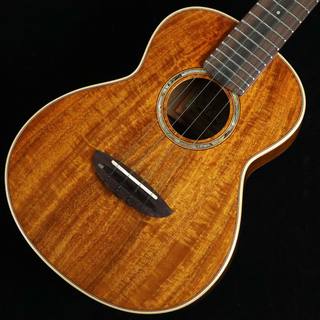 aNueNue aNN-AAA2　S/N：AM22140 【コンサート】 【未展示品】