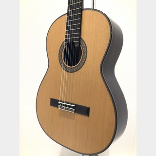 ASTURIAS RENAISSANCEの検索結果【楽器検索デジマート】