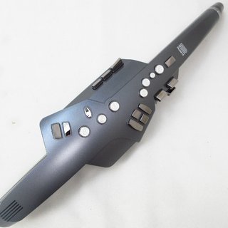 Roland AE-10G Aerophone エアロフォン 【横浜店】