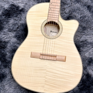 Ibanez エレアコギター　AEC24Ⅱ ソフトケース付美品1948-06-1 Ibanez / アイバニーズ アコースティックギター | 島村楽器