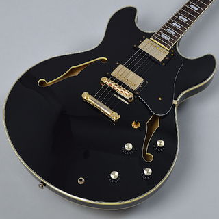 Sire Larry Carlton H7 - Black【現物画像】