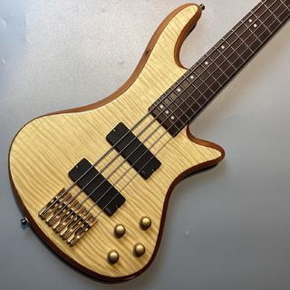 SCHECTER 【中古】【現物画像】STILETTO CUSTOM5