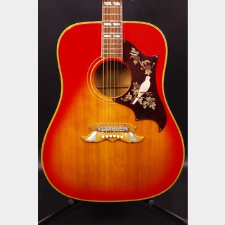 アコースティックギター、Gibson、Doveの検索結果【楽器検索デジマート】