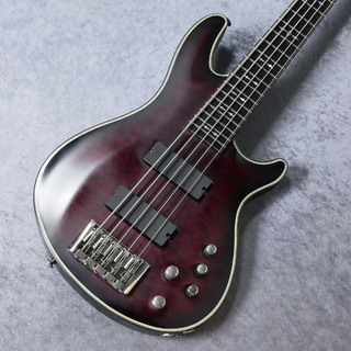 ベース、SCHECTERの検索結果【楽器検索デジマート】