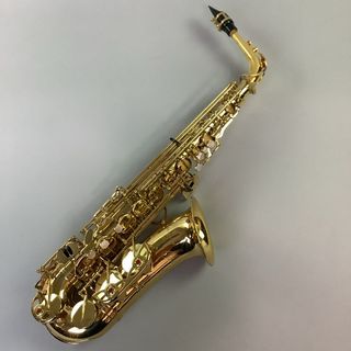 YANAGISAWA A900u